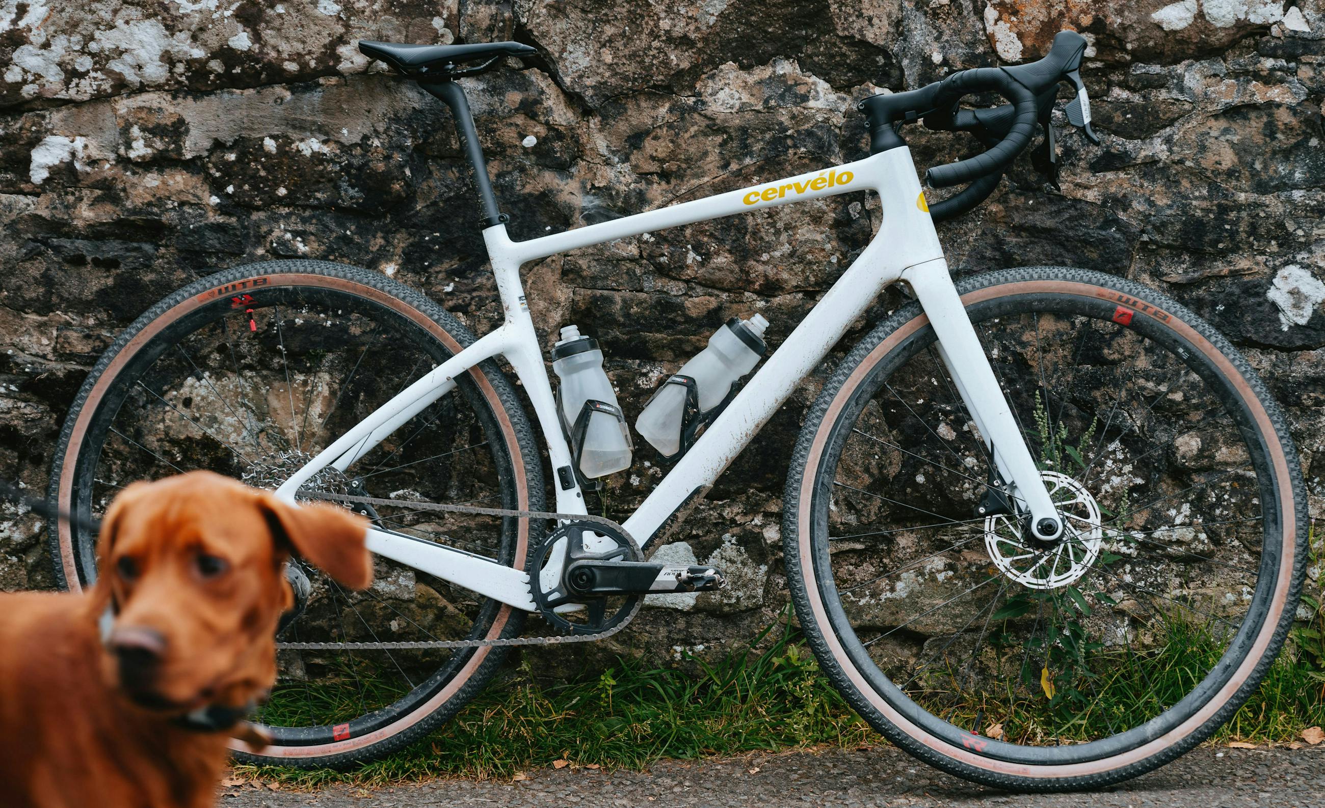 Aspero cervelo on sale