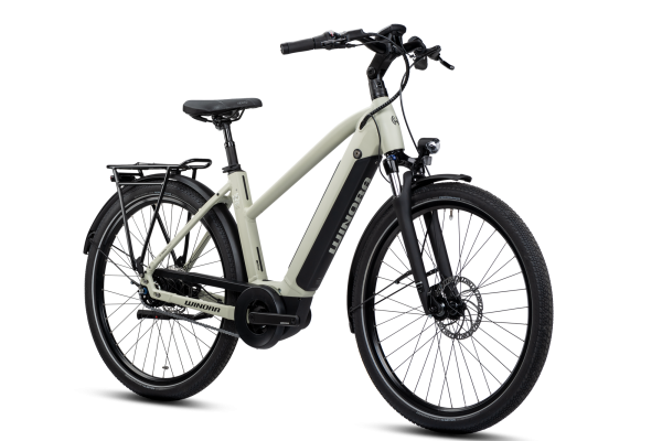 Winora Sinus N5 eco Rücktritt Wave Damen | 2022